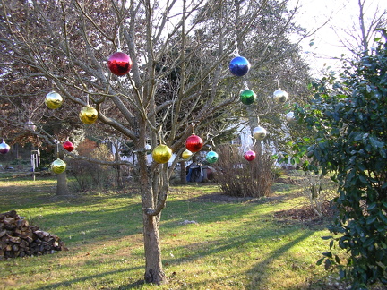 2006-12-14 003